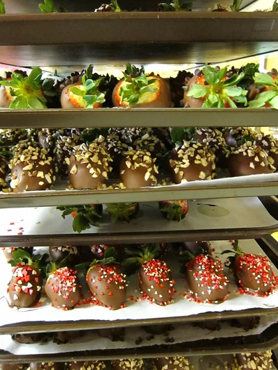 Chocolate Strawberries - Dozen - Hazel Hill Chocolate